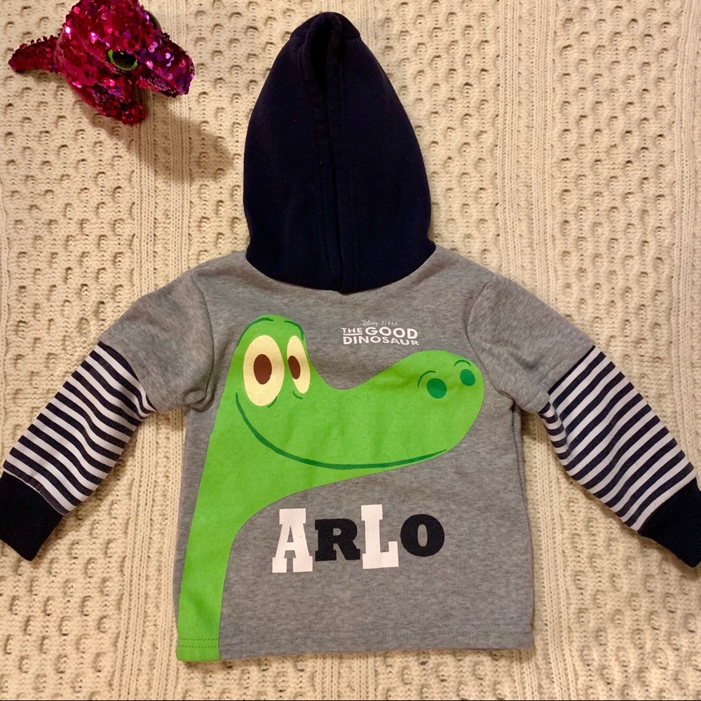 GUC toddler hoodie- The Good Dinosaur